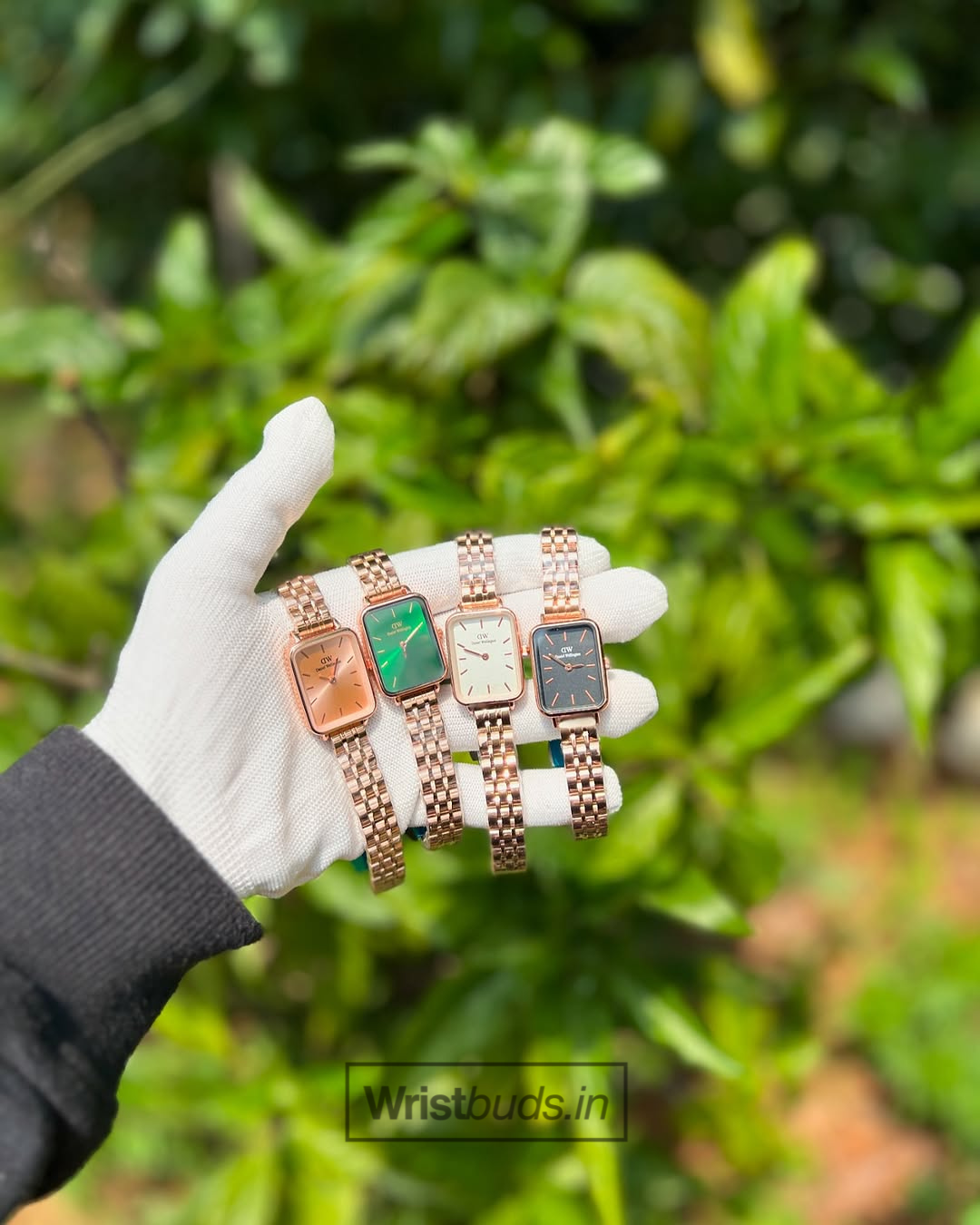 DW Quadro (Analog Watch)