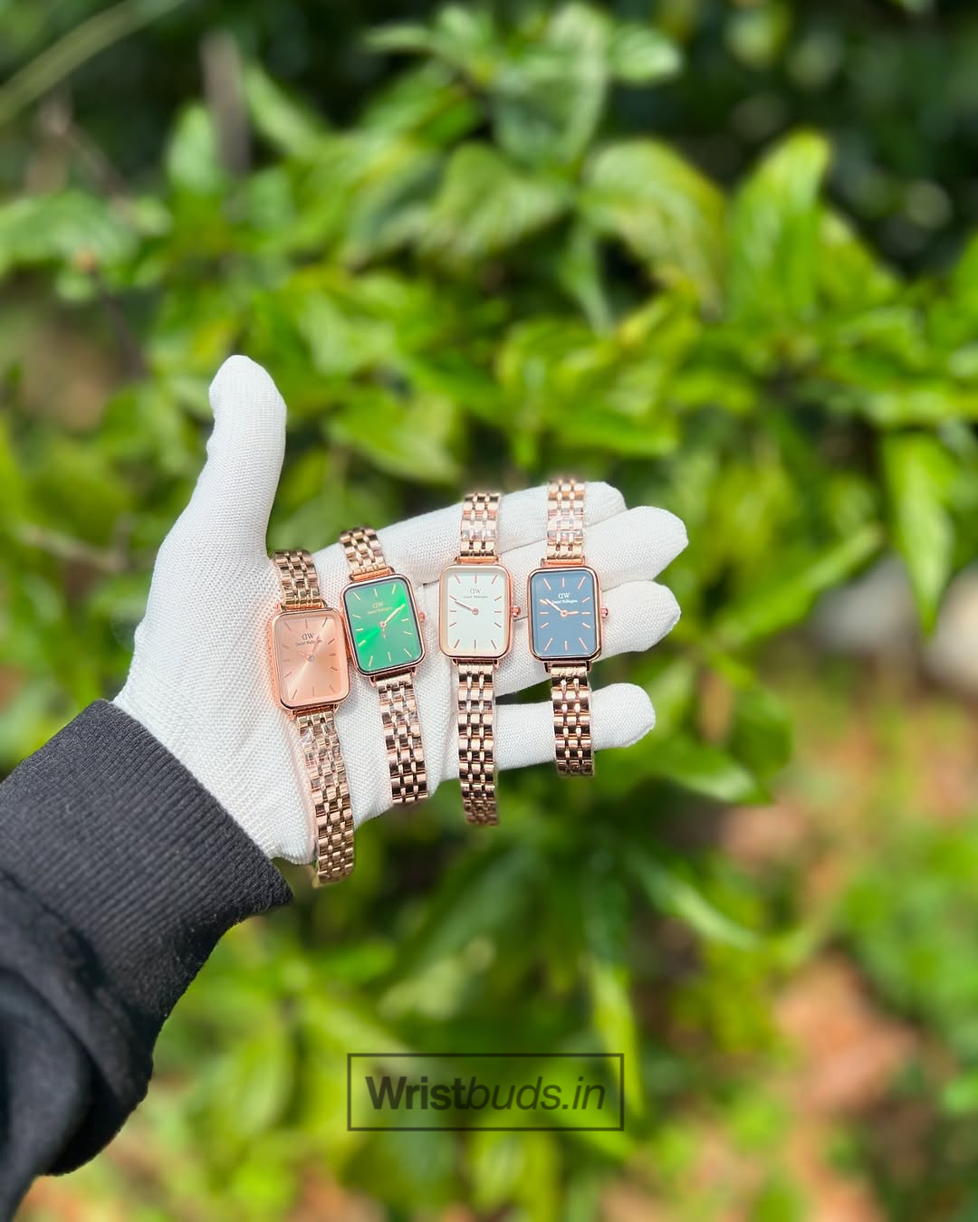 DW Quadro (Analog Watch)