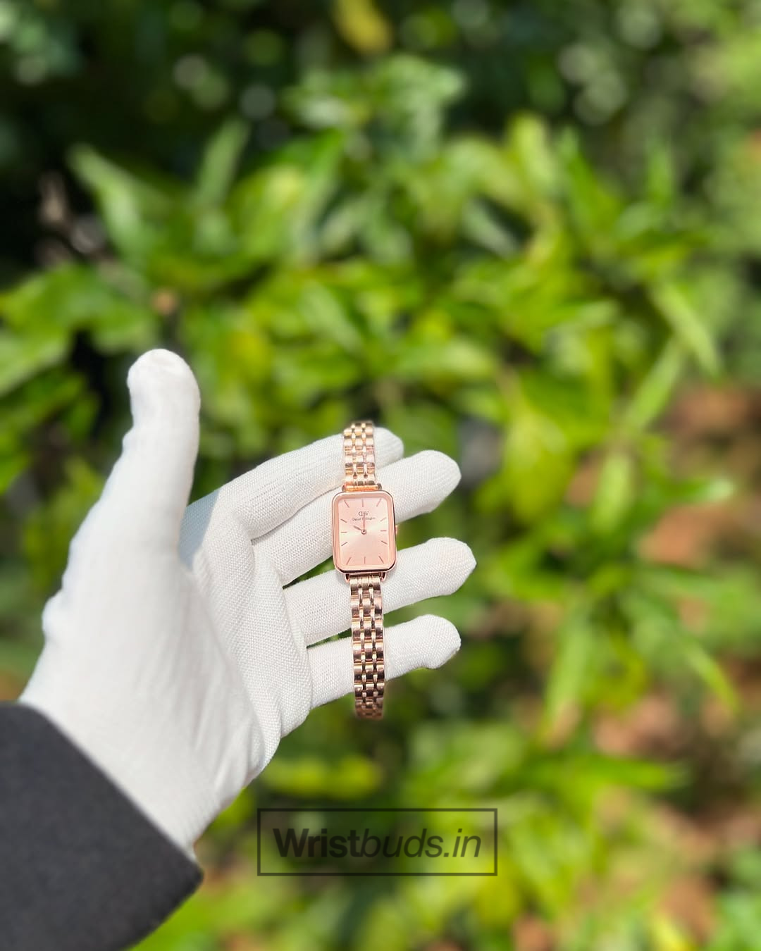 DW Quadro (Analog Watch)